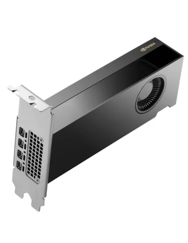 HP NVIDIA RTX PH x2xxx 4mDP Graphics