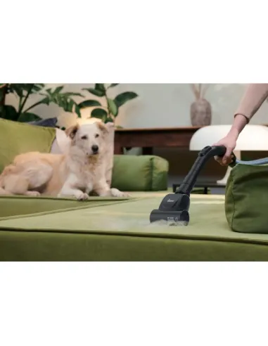 HOOVER TRAINO HP120PET 011