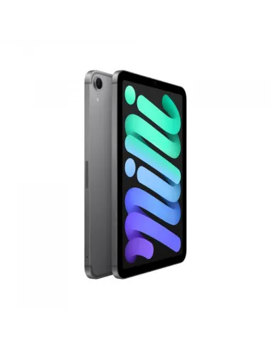 IPAD MINI WF CL 256GB SPACE GRAY