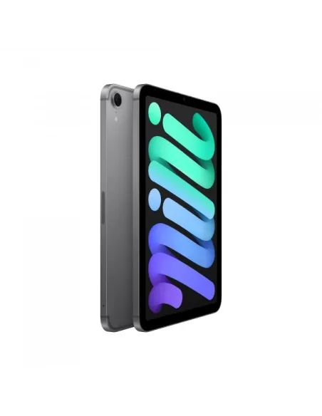 IPAD MINI WF CL 256GB SPACE GRAY