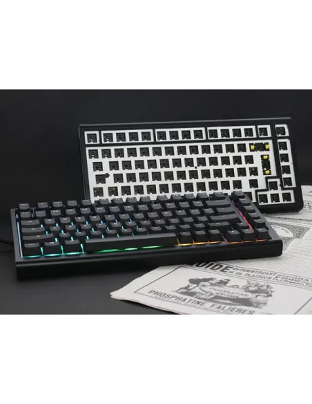 Ducky Tinker 75 Gaming Keyboard, RGB, black - MX-Blue (ANSI)
