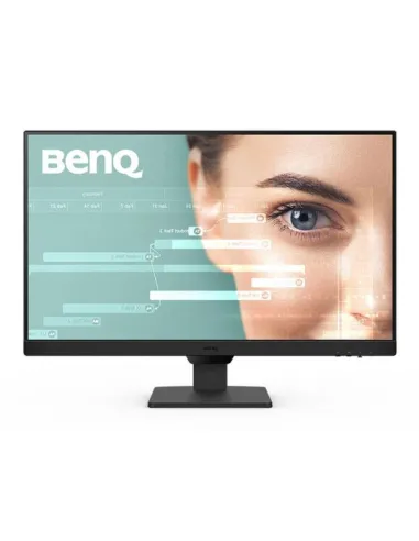 BenQ GW2490T