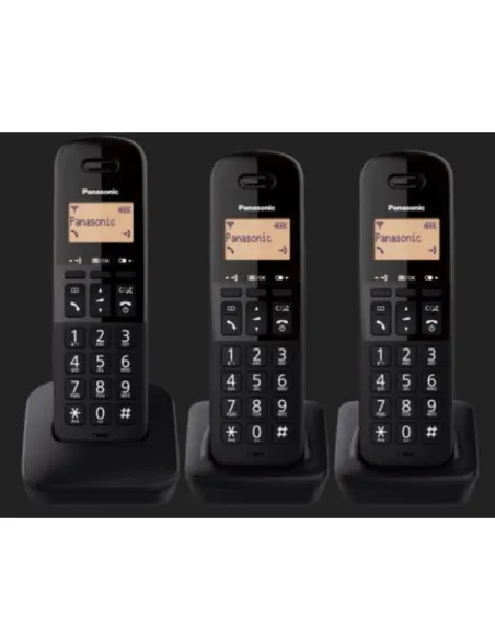 CORDLESS TGB613 TRIO