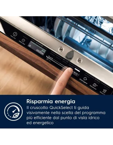 LAVAST INC EES47325L D 13CP 60CM