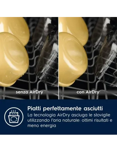 LAVAST INC EES47325L D 13CP 60CM