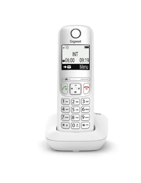GIGASET AS490 WITH