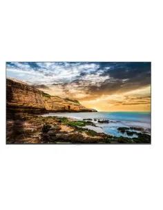 QE55T 55P 3840X2160 300 CD/M