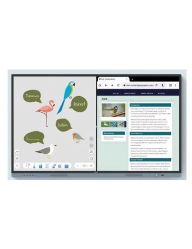 BenQ RM6504 lavagna interattiva 165,1 cm (65") 3840 x 2160 Pixel