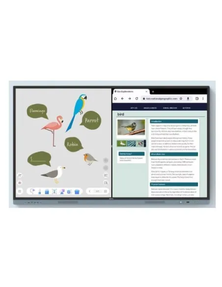 BenQ RM6504 lavagna interattiva 165,1 cm (65") 3840 x 2160 Pixel