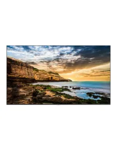 QE55T 55P 3840X2160 300 CD/M 2