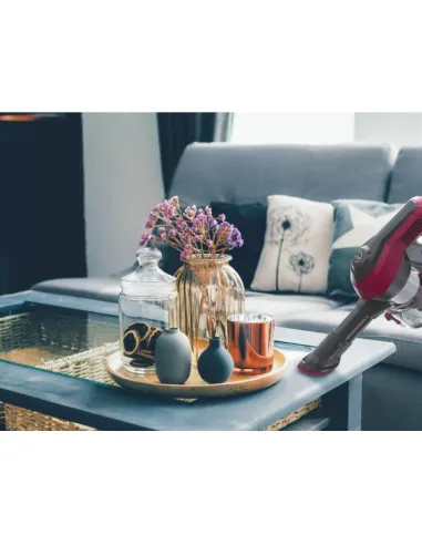 HOOVER RICARICAB HF110P 011