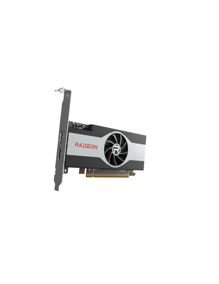 HP Scheda grafica AMD Radeon RX 6400 da 4 GB DP+HDMI
