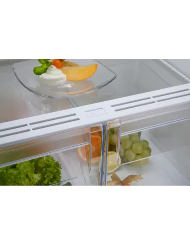 Electrolux FRIGORIFERO COMBINATO STATIC LOW FROST CLASSE E LNS5LE18S