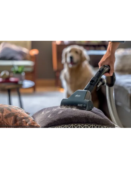 Hoover HE721PAF 011 6 L A cilindro Secco 850 W Sacchetto per la polvere