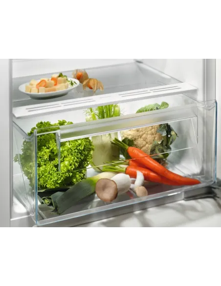 Electrolux FRIGORIFERO ARMADIO FRIGOCONGELATORE STATICO CLASSE E LFB3AE12S