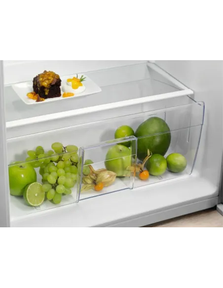 Electrolux FRIGORIFERO ARMADIO FRIGOCONGELATORE STATICO CLASSE E EFB3AE10S1