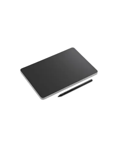 Wacom DTHA116 tavoletta grafica Nero 5080 lpi (linee per pollice) 252 x 148 mm USB