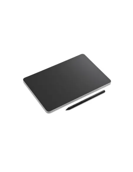 Wacom DTHA116 tavoletta grafica Nero 5080 lpi (linee per pollice) 252 x 148 mm USB