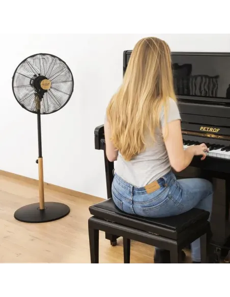 Cecotec 08233 ventilatore Nero, Legno