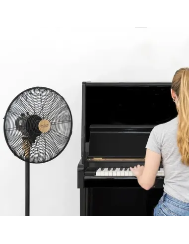 Cecotec 08233 ventilatore Nero, Legno