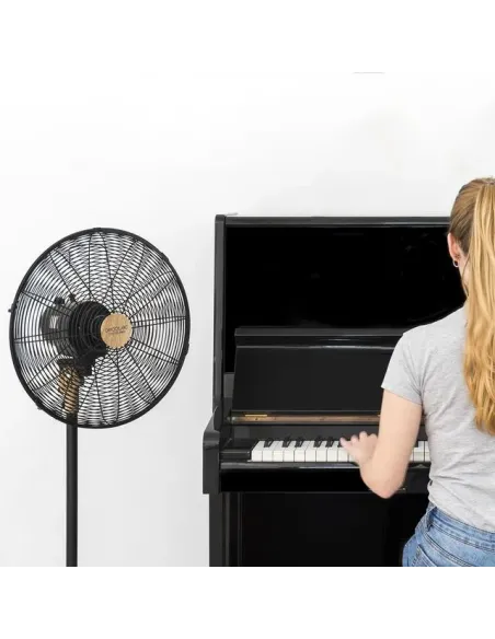 Cecotec 08233 ventilatore Nero, Legno