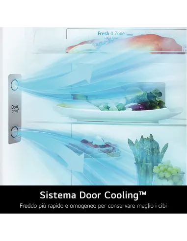 LG GTF744PZPED Frigorifero doppia porta, Classe E, 509L, Wi-Fi, Dispenser acqua, Inox