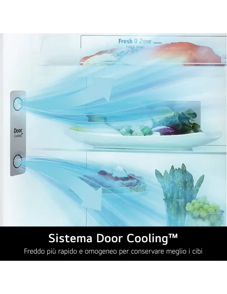 LG GTF744PZPED Frigorifero doppia porta, Classe E, 509L, Wi-Fi, Dispenser acqua, Inox