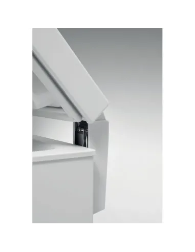 Whirlpool Congelatore a pozzetto - WHE39392 T