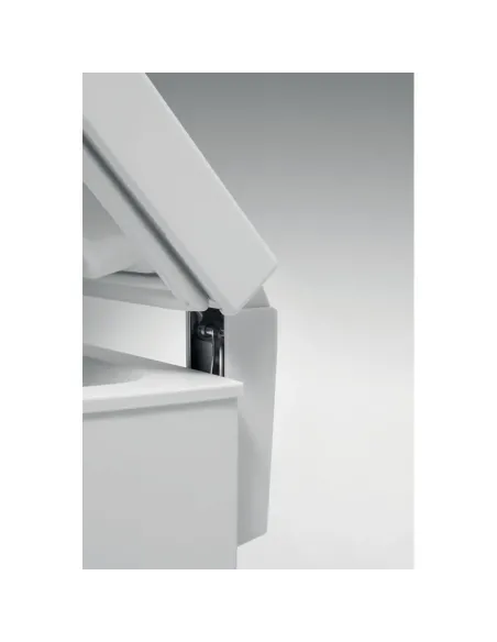 Whirlpool Congelatore a pozzetto - WHE39392 T