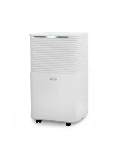Argoclima ARGO LILIUM ART 11 2 L 38 dB 195 W Bianco 2