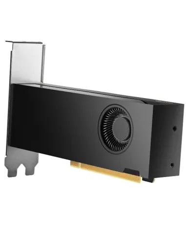 HP NVIDIA RTX 2000 ADA 16 GB 4MDP