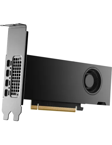 HP NVIDIA RTX 2000 ADA 16 GB 4MDP