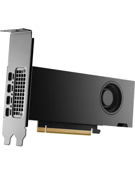 HP NVIDIA RTX 2000 ADA 16 GB 4MDP