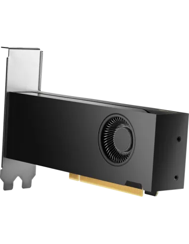 HP NVIDIA RTX 2000 ADA 16 GB 4MDP