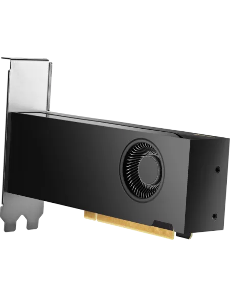 HP NVIDIA RTX 2000 ADA 16 GB 4MDP