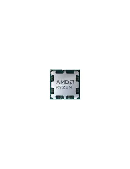 AMD Ryzen 5 7600X Tray