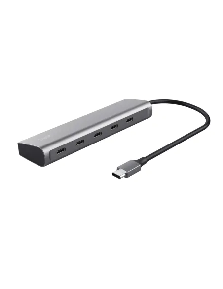 Trust Halyx USB 3.2 Gen 1 (3.1 Gen 1) Type-C Argento