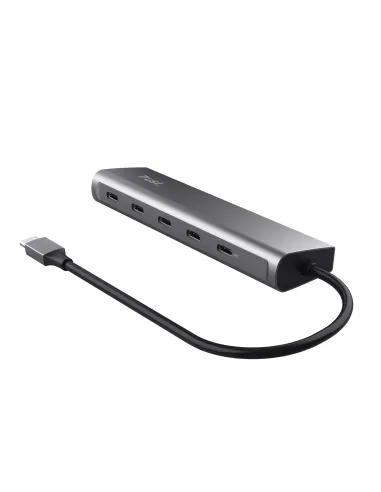 Trust Halyx USB 3.2 Gen 1 (3.1 Gen 1) Type-C Argento