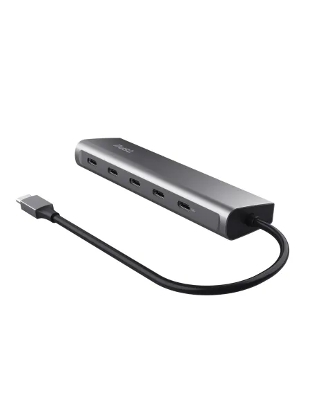 Trust Halyx USB 3.2 Gen 1 (3.1 Gen 1) Type-C Argento
