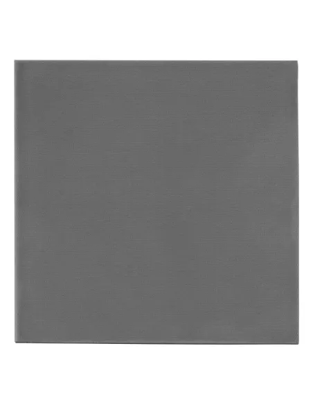 Thermal Grizzly Minus Pad extreme 2 Cuscinetto termico