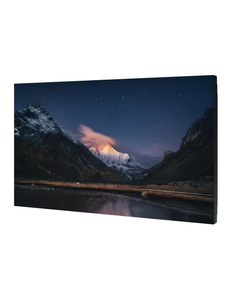 Samsung VM55C-R LCD Interno