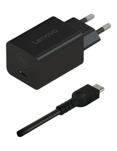 Lenovo 40AWGN65EU adattatore e invertitore Interno Nero
