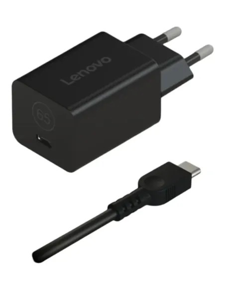 Lenovo 40AWGN65EU adattatore e invertitore Interno Nero