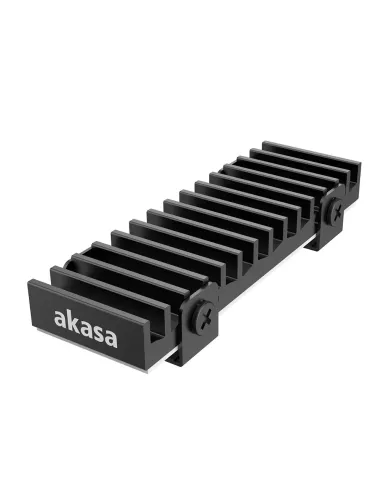 Akasa Gecko Pro Unità allo stato solido Dissipatore di calore Radiatore Nero 1 pz