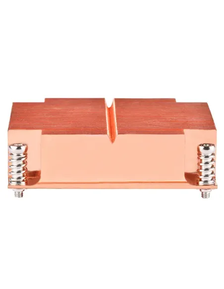 Silverstone Xenon XE01-2011 Processore Dissipatore di calore Radiatore