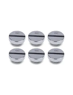 Alphacool Eiszapfen Verschlussschraube G1/4, chrome - 6er Pack