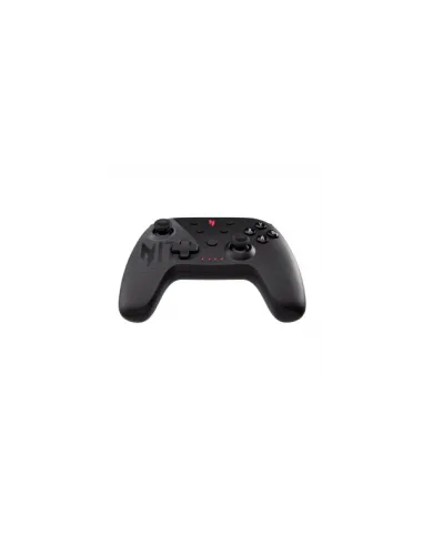 NGR300