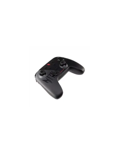 NGR300