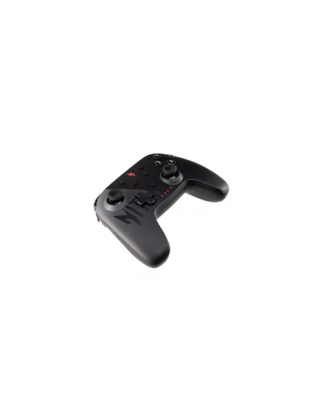 NGR300