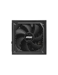 MAG A1000GL PCIE5 2